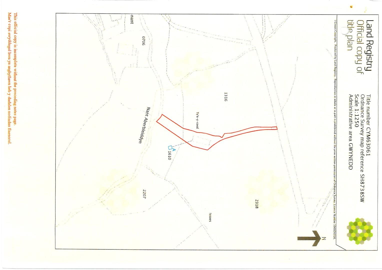 Tom Parry Llidiardau, Bala